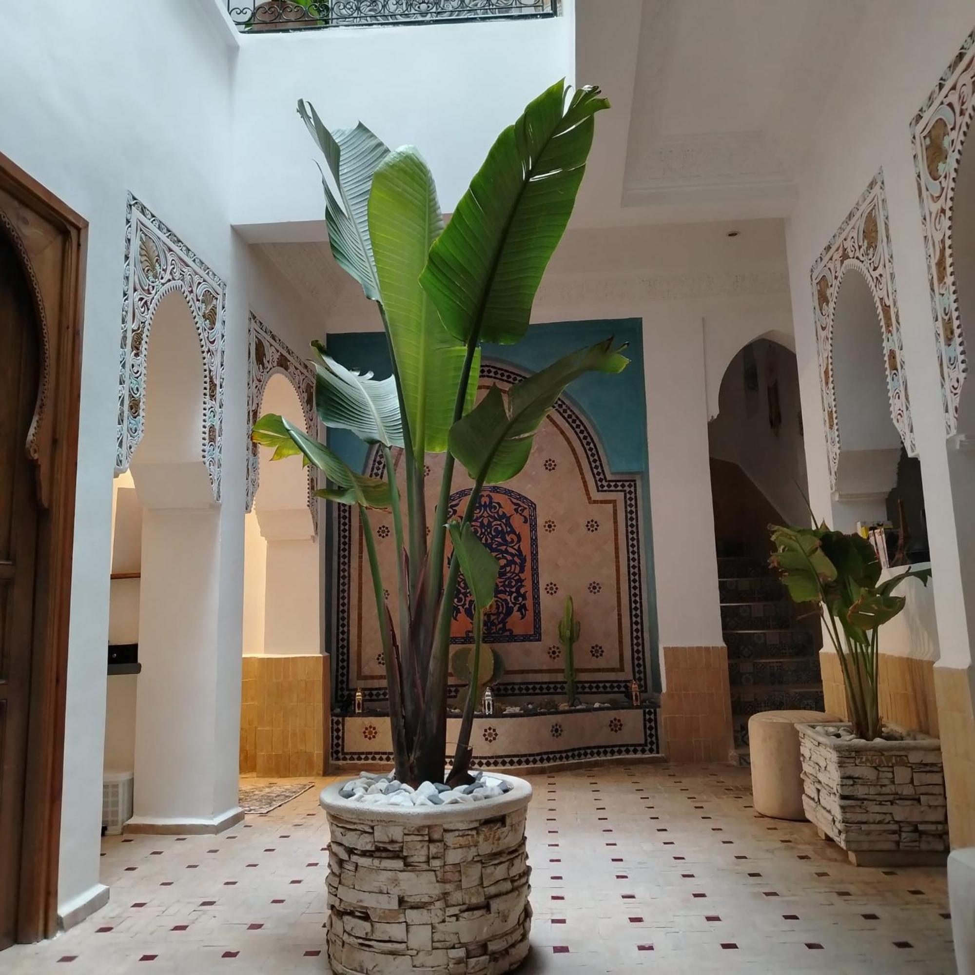 Riad & Spa Sous Le Soleil Chez Jerome Et Pamela Ch Marrakchi Marrakesh Exterior photo